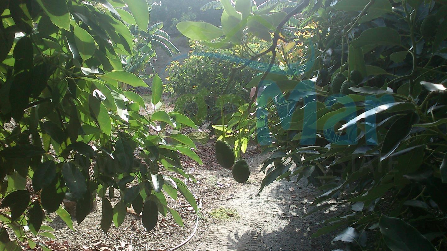 Terreno en venta en Granada