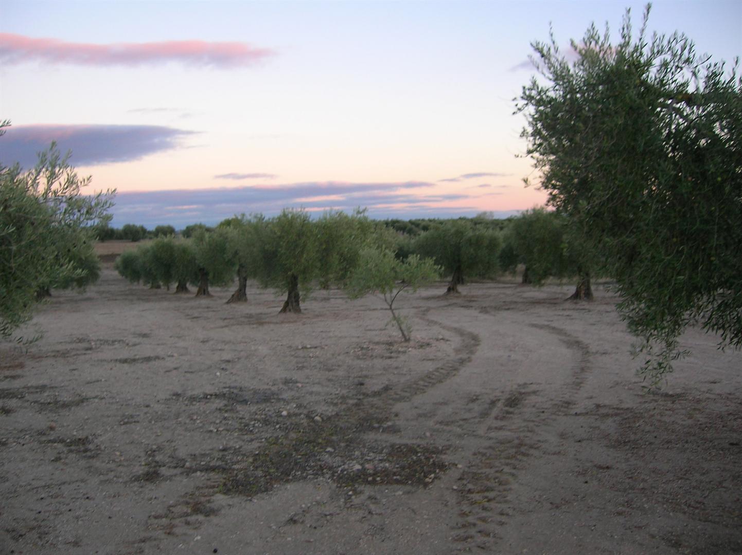 Terreno en venta en Badajoz