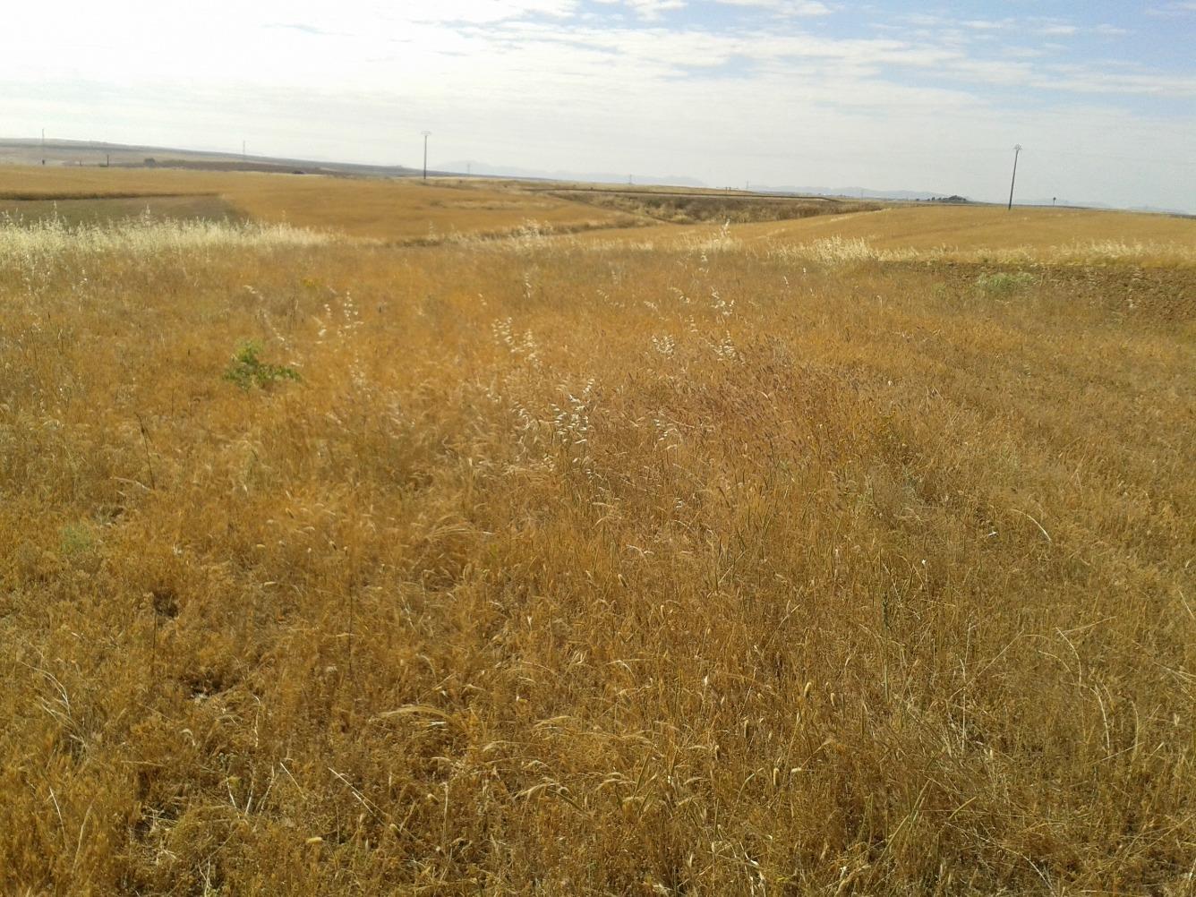 Terreno en venta en Badajoz