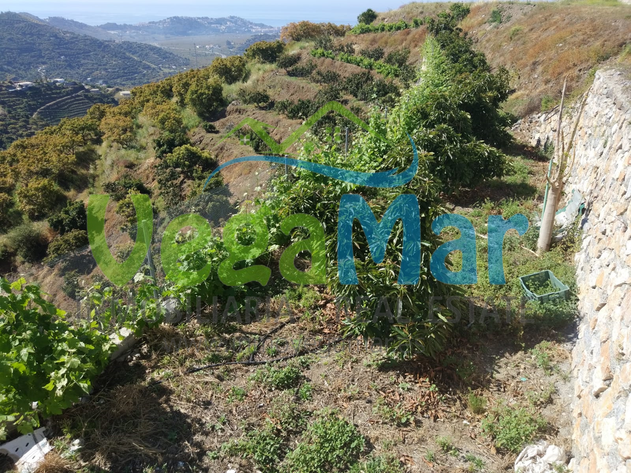 Terreno en venta en Granada