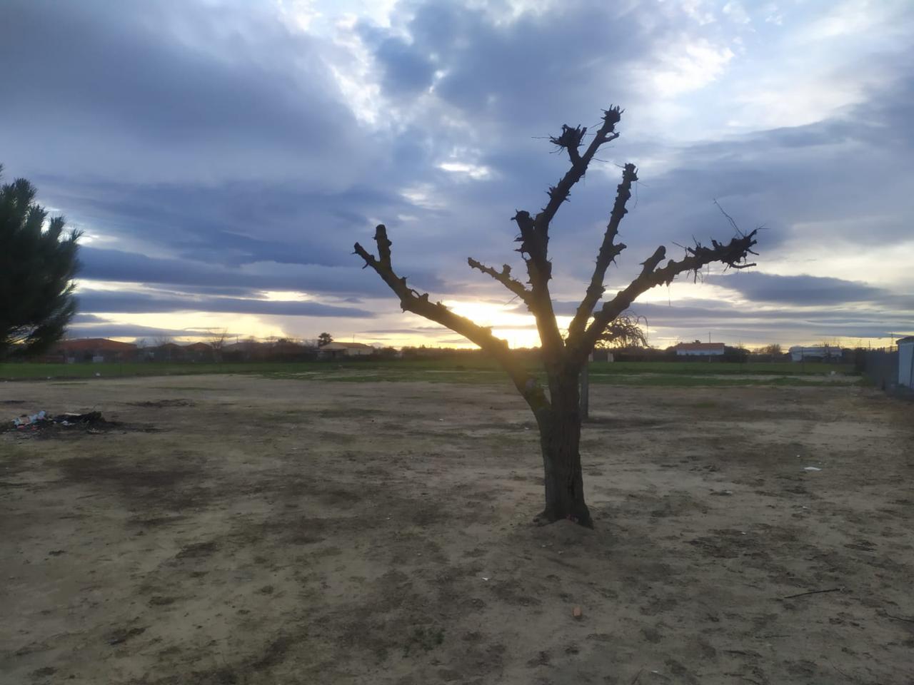 Terreno en venta en Badajoz