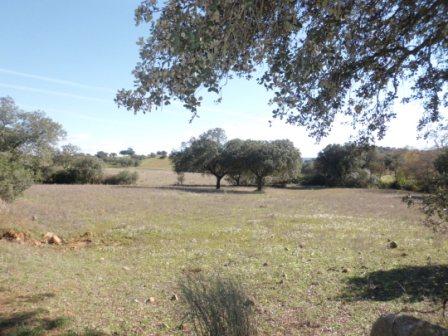 Terreno en venta en Córdoba