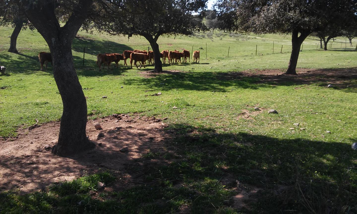 Terreno en venta en Córdoba