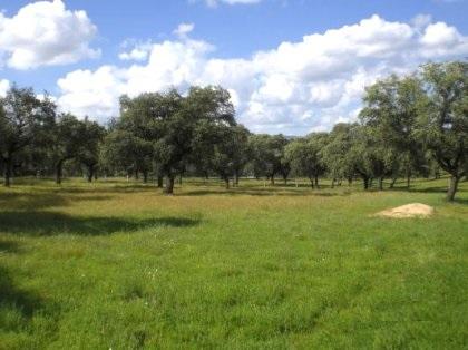 Terreno en venta en Córdoba