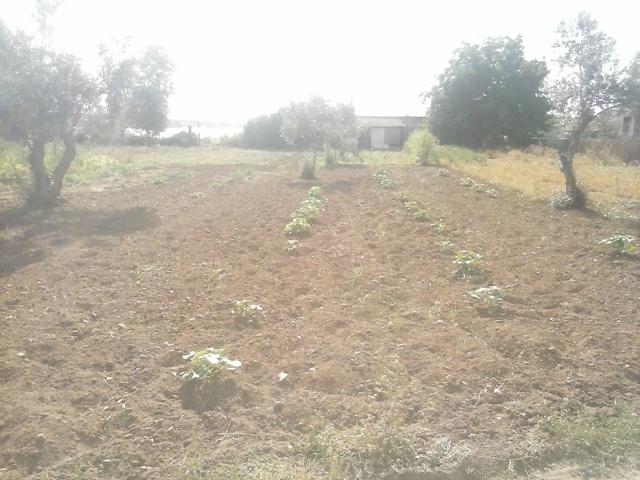 Terreno en venta en Córdoba
