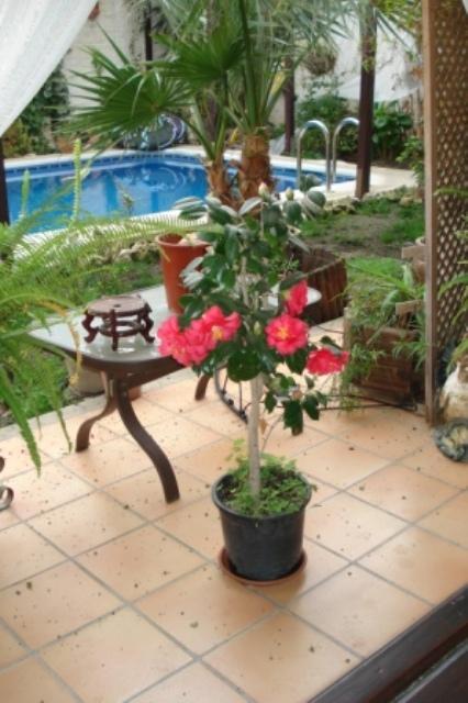 Chalet en venta en Córdoba