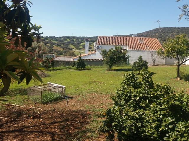 Chalet en venta en Córdoba