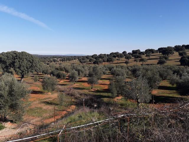 Terreno en venta en Córdoba