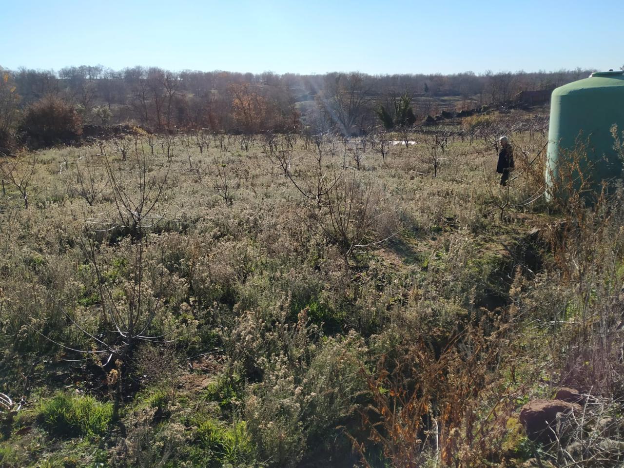 Terreno en venta en Cáceres