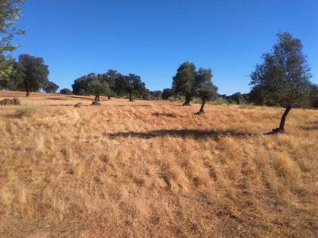 Terreno en venta en Córdoba