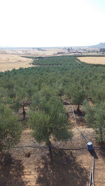 Terreno en venta en Córdoba