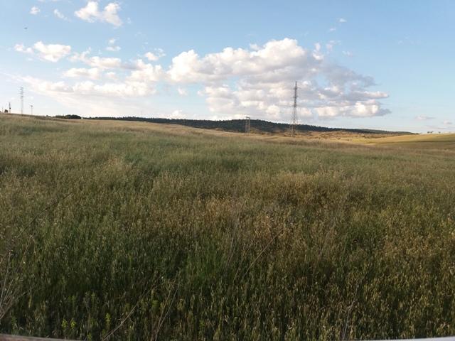 Terreno en venta en Córdoba