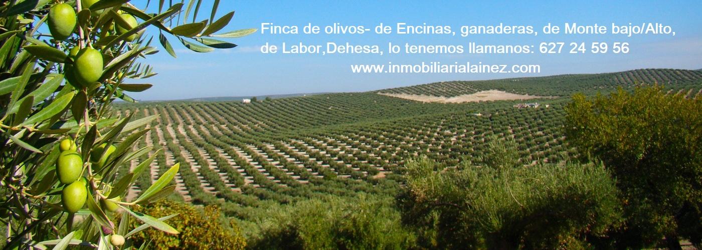 Terreno en venta en Córdoba
