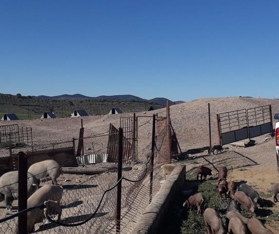 Terreno en venta en Córdoba
