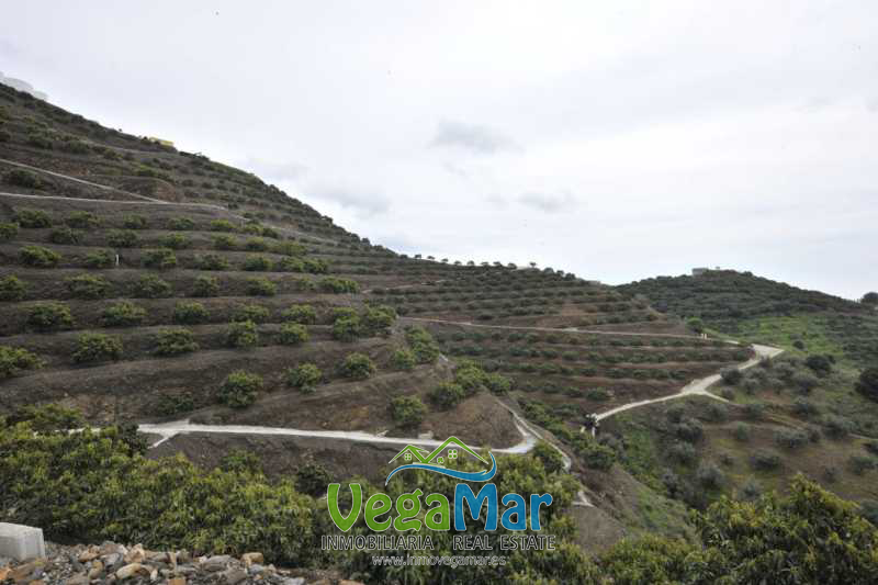 Terreno en venta en Granada