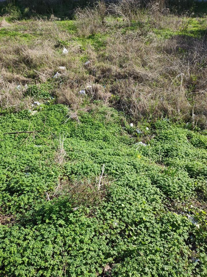 Terreno en venta en Cádiz
