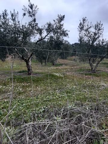 Terreno en venta en Córdoba