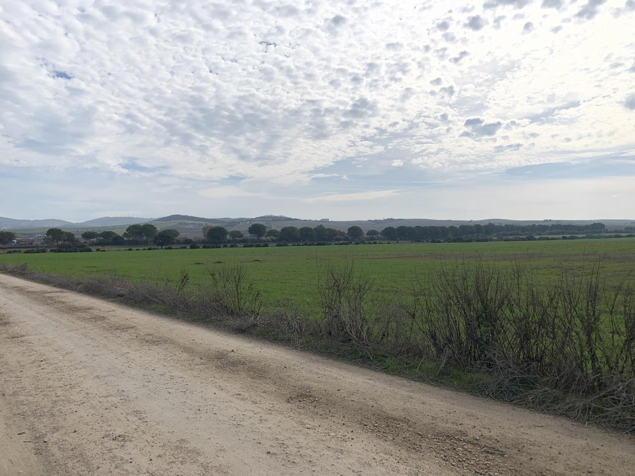 Terreno en venta en Sevilla