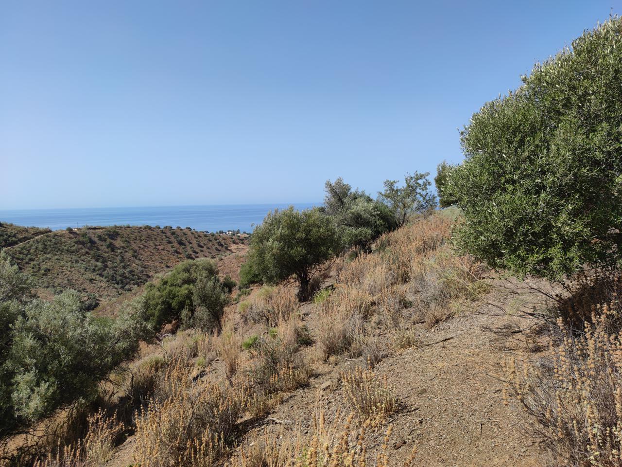 Terreno en venta en Málaga