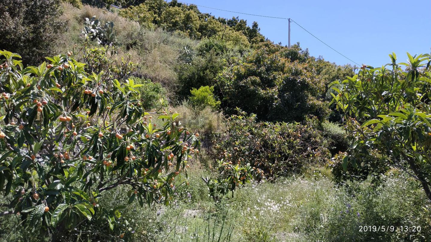 Terreno en venta en Granada