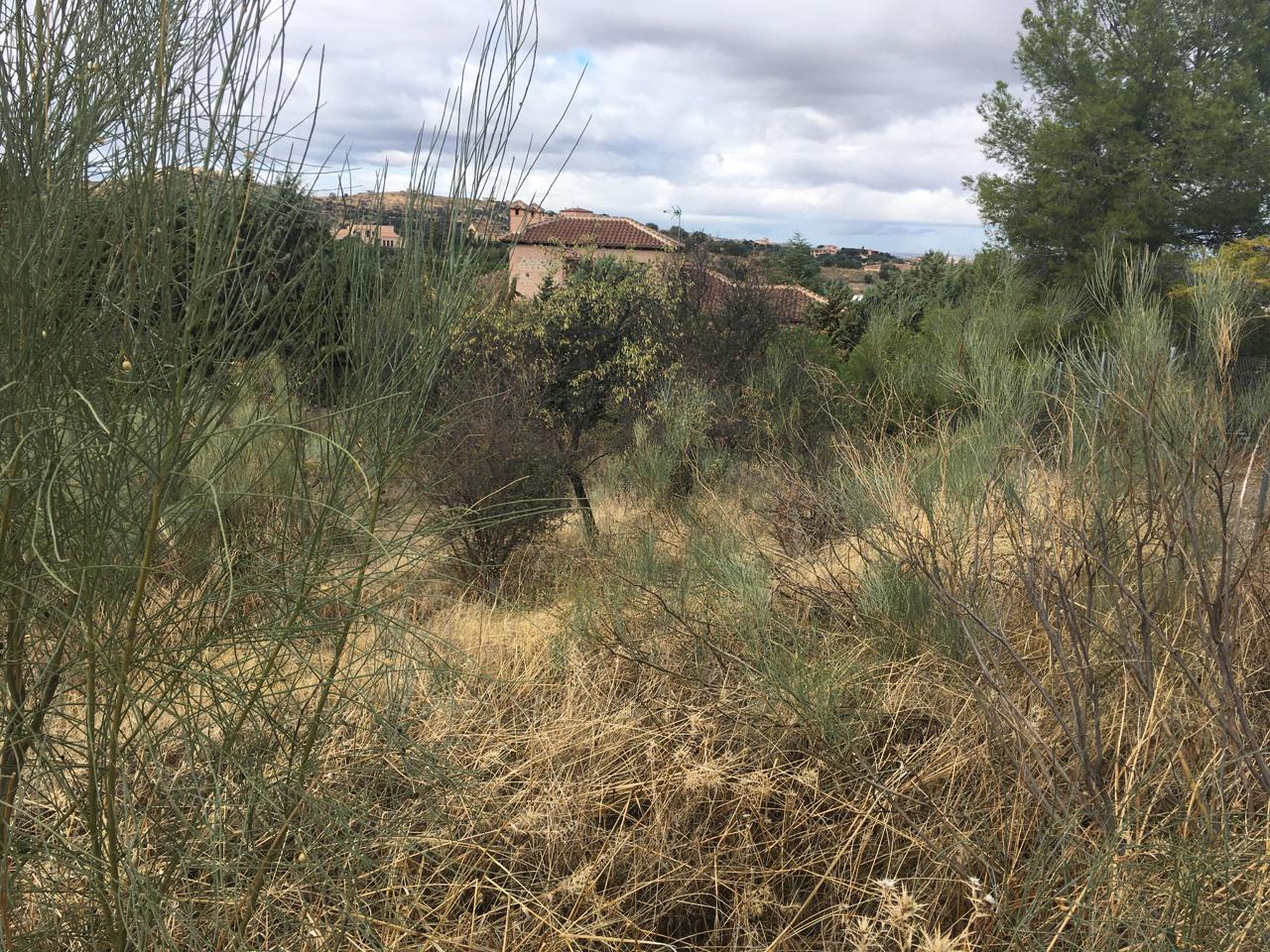 Terreno en venta en Toledo