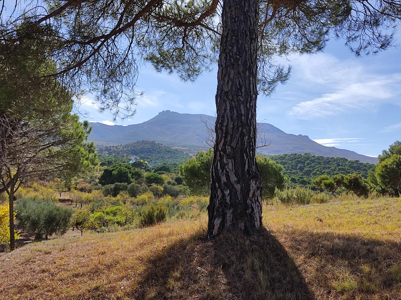 Terreno en venta en La Rioja