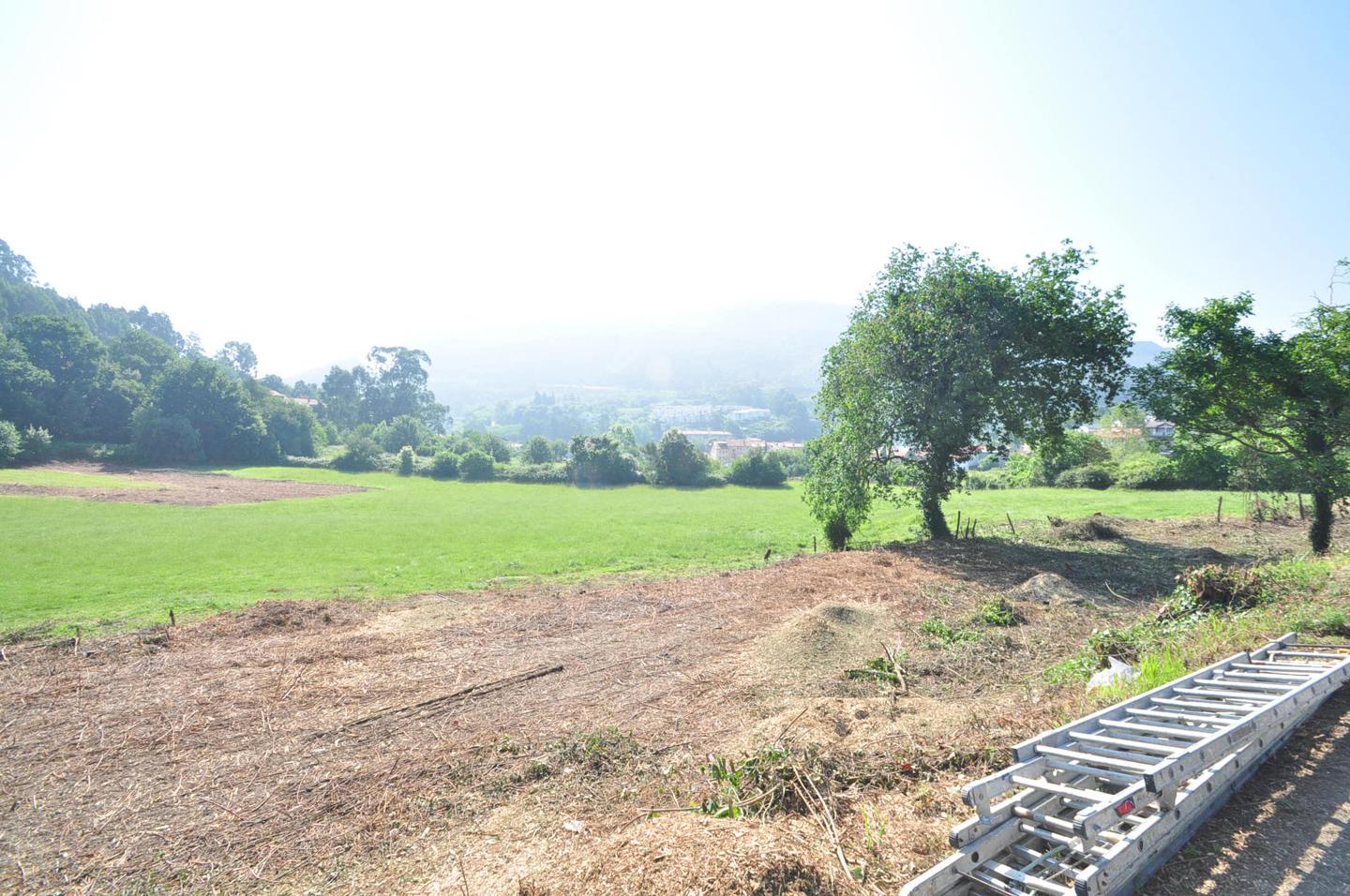 House picture 4