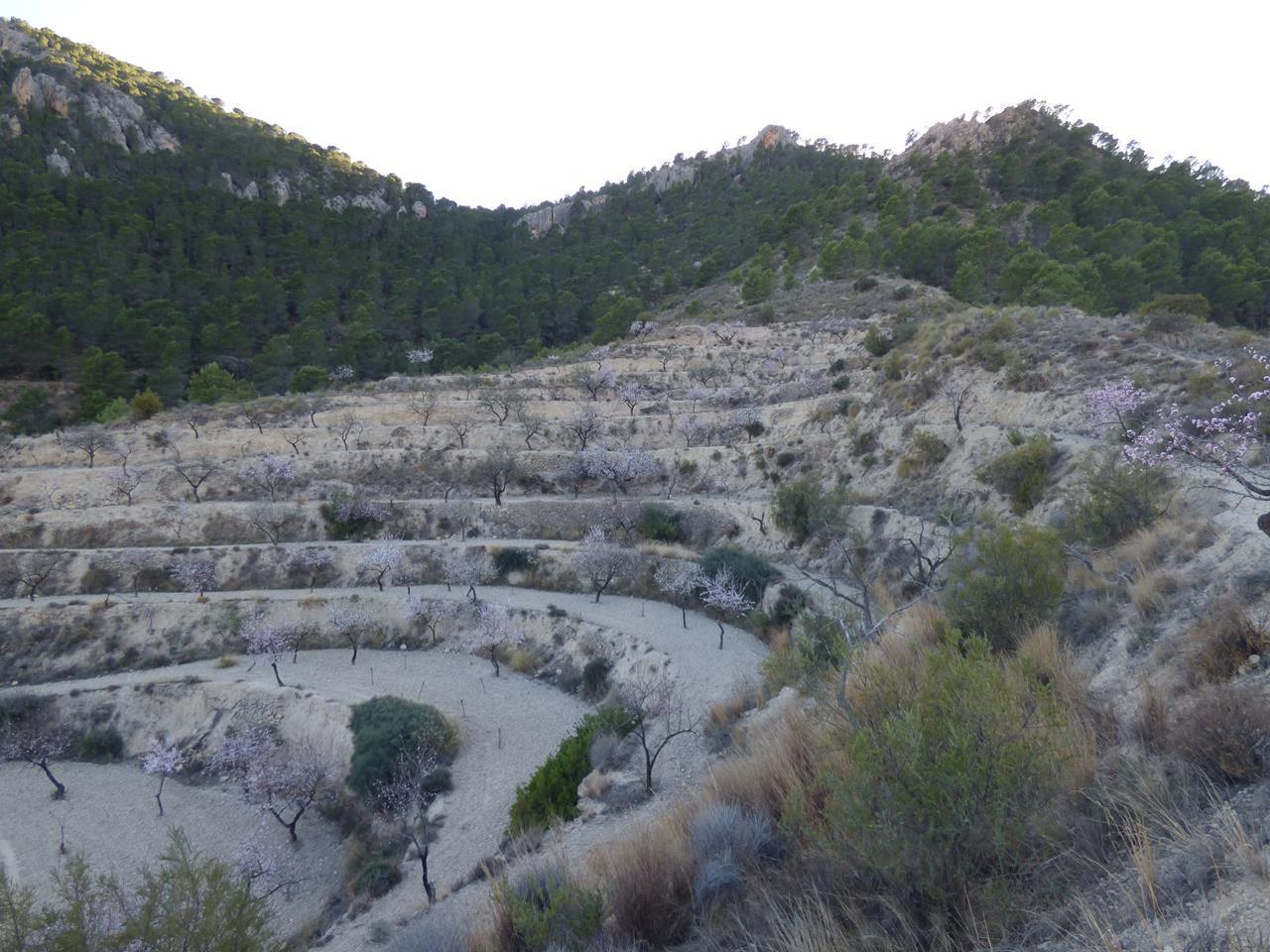 Terreno en venta en Alicante
