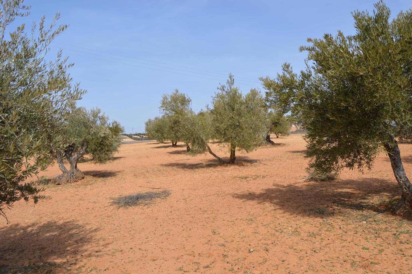 Terreno en venta en Cuenca