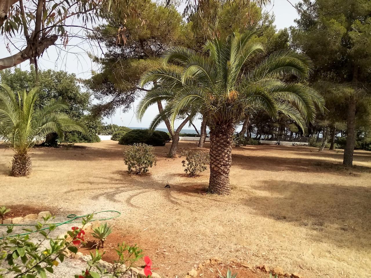 Chalet en venta en Baleares