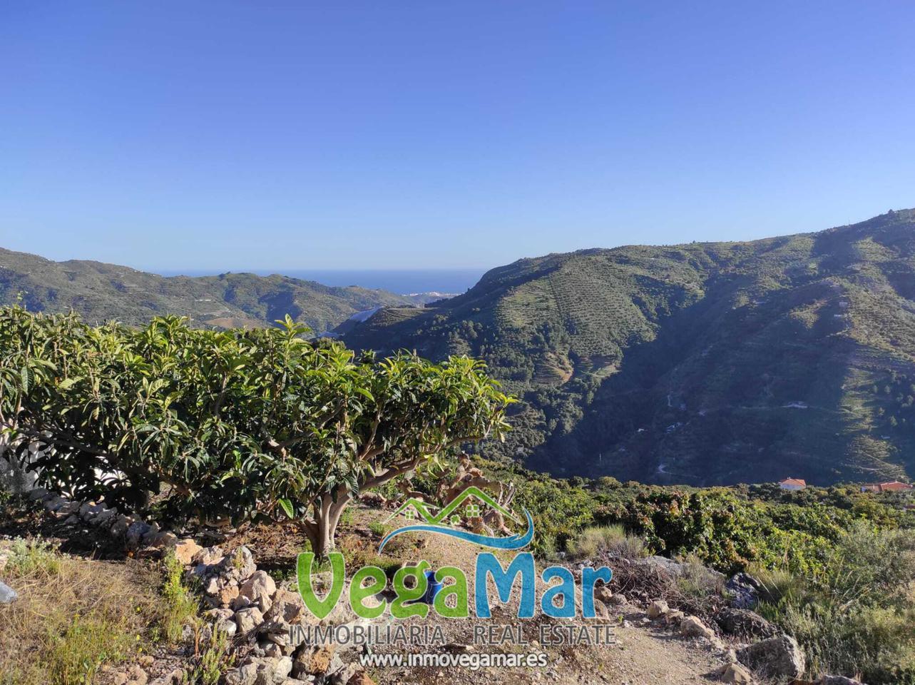Terreno en venta en Granada