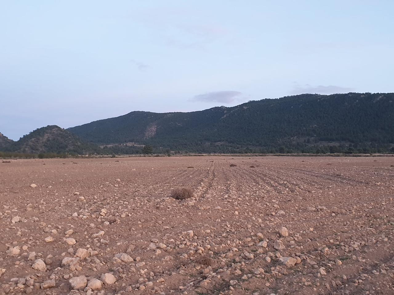 Terreno en venta en Murcia