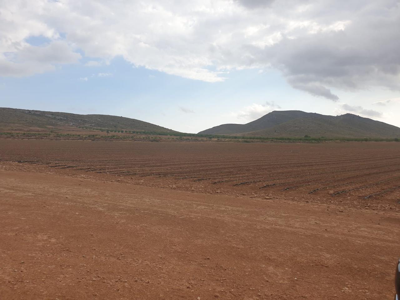 Terreno en venta en Murcia