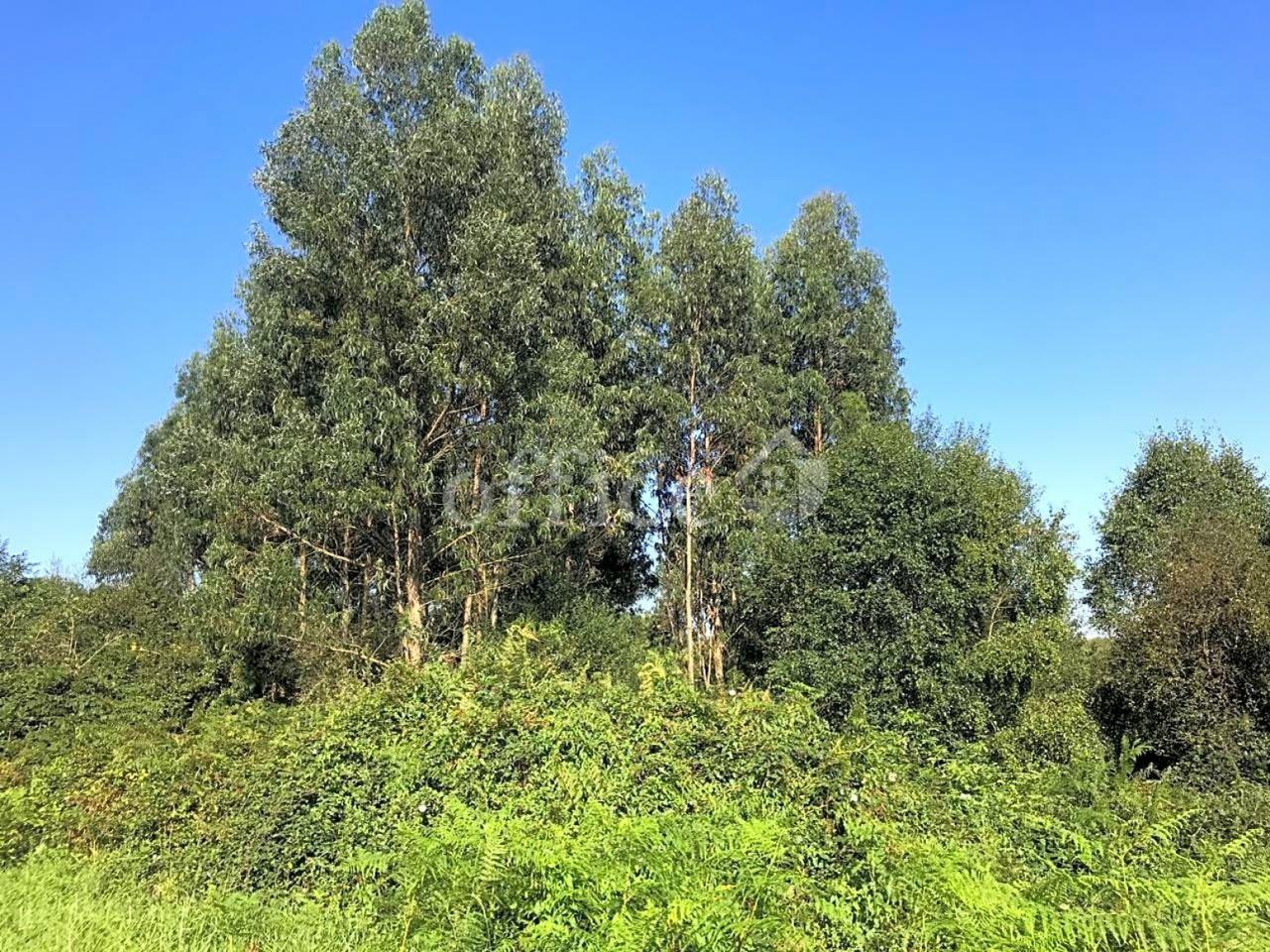 Terreno en venta en Asturias