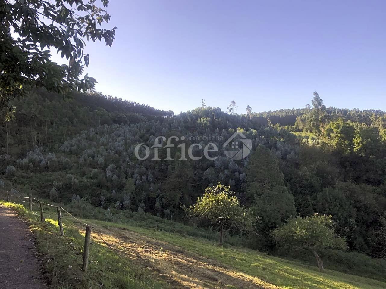 Terreno en venta en Asturias