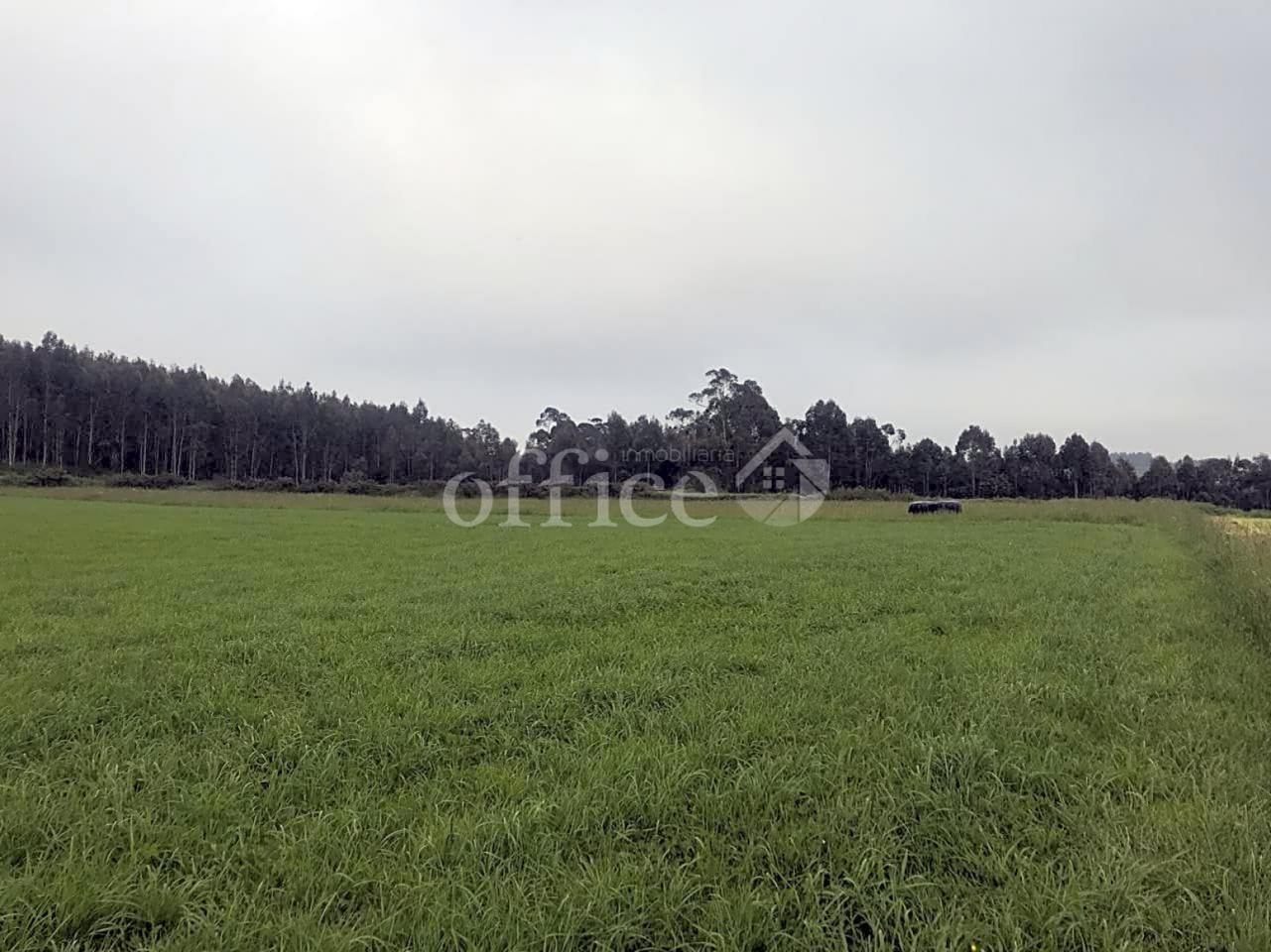Terreno en venta en Asturias