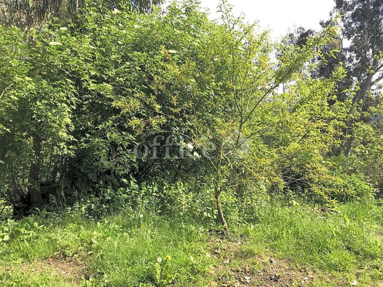 Terreno en venta en Asturias