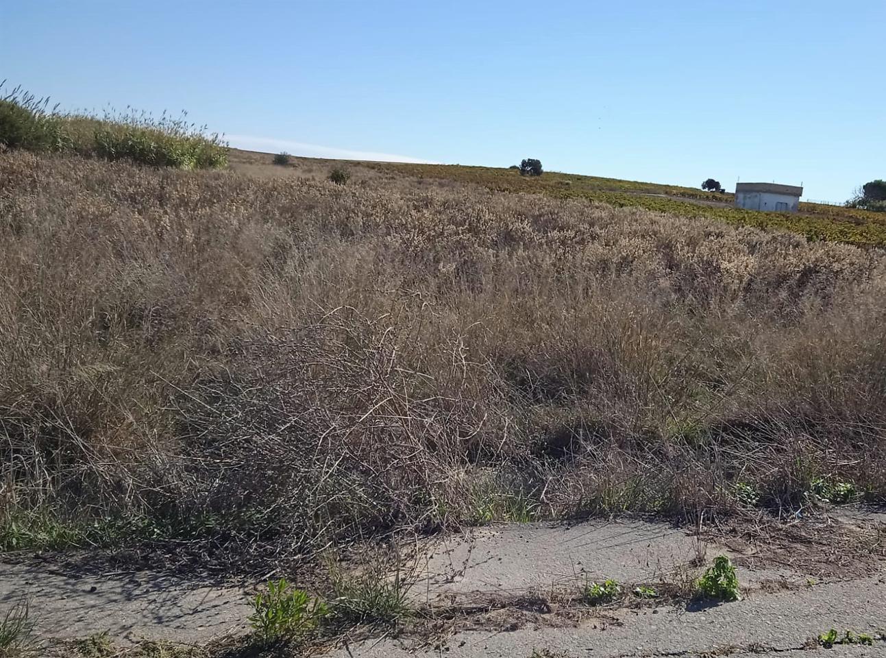 Terreno en venta en Cádiz