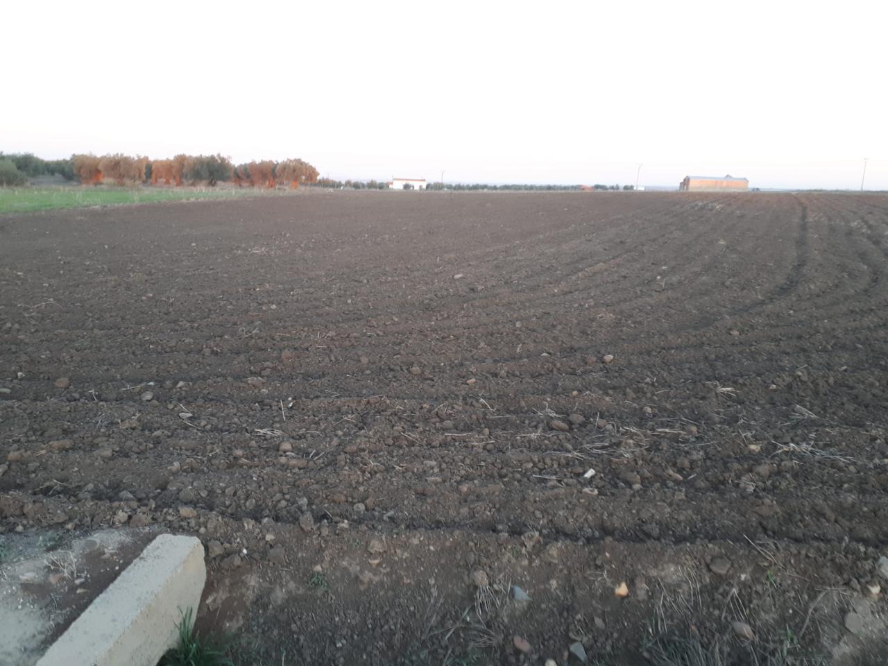 Terreno en venta en Badajoz