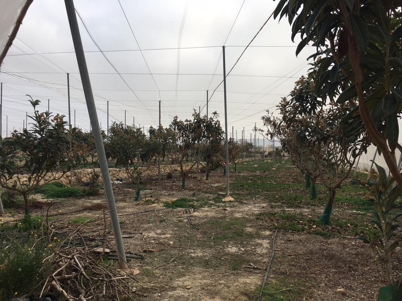 Terreno en venta en Alicante