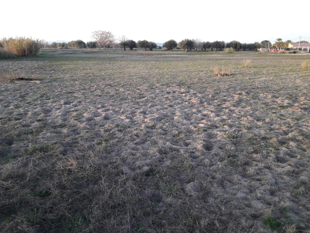 Terreno en venta en Badajoz