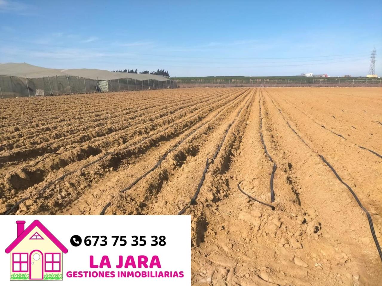 Terreno en venta en Cádiz