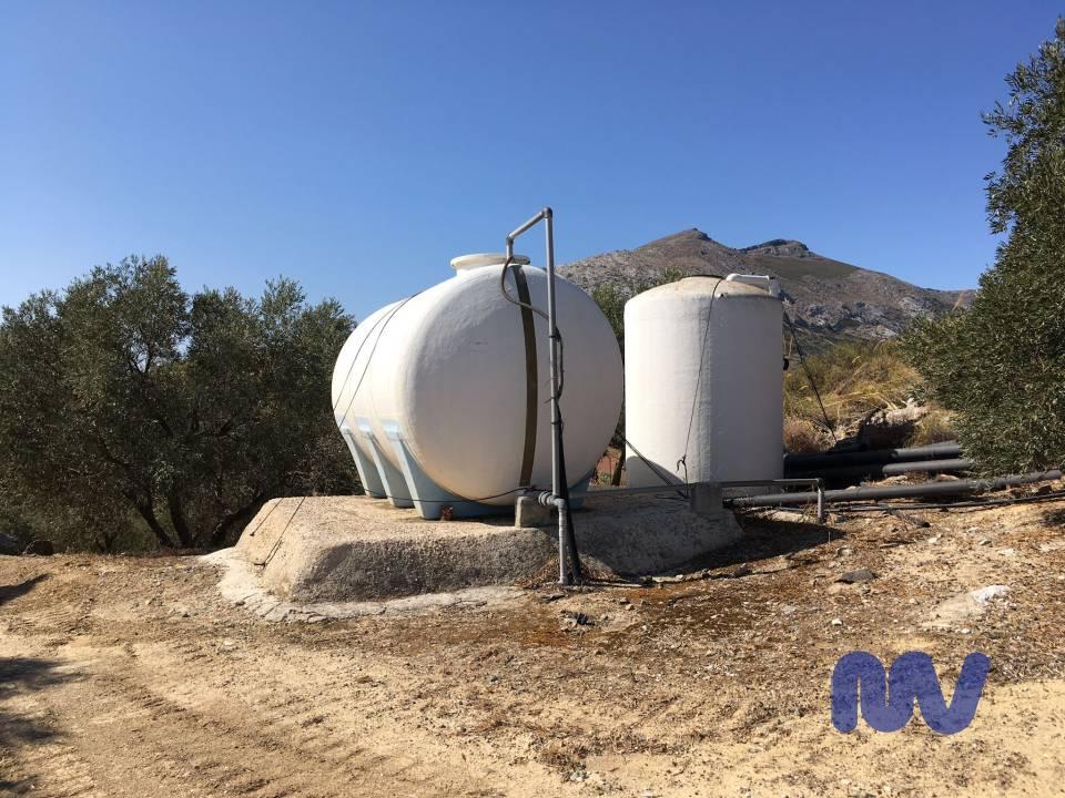 Preciosa finca rústica de olivos en producción con nave de 100m2  y pozo propio