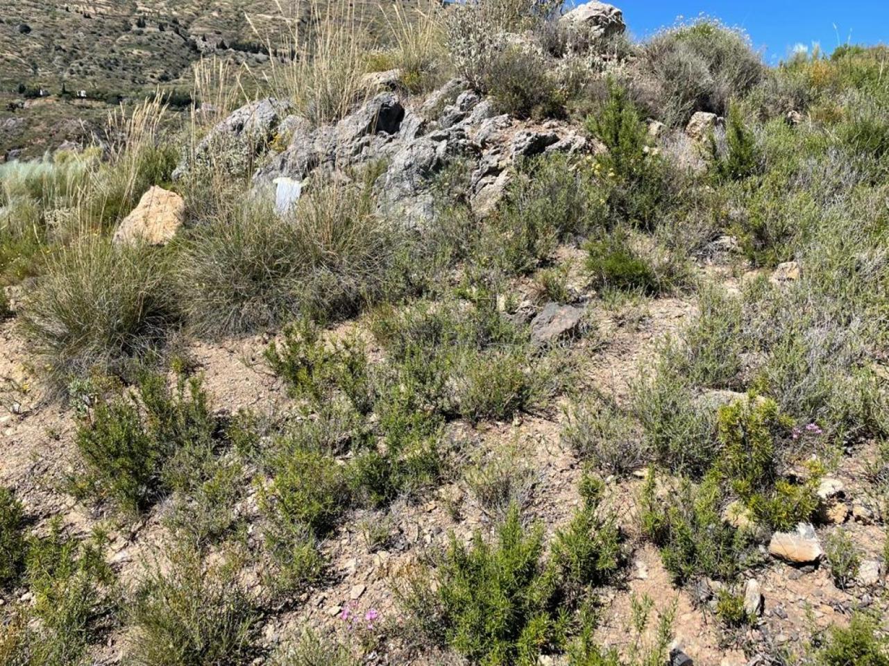 Terreno en venta en Jaén