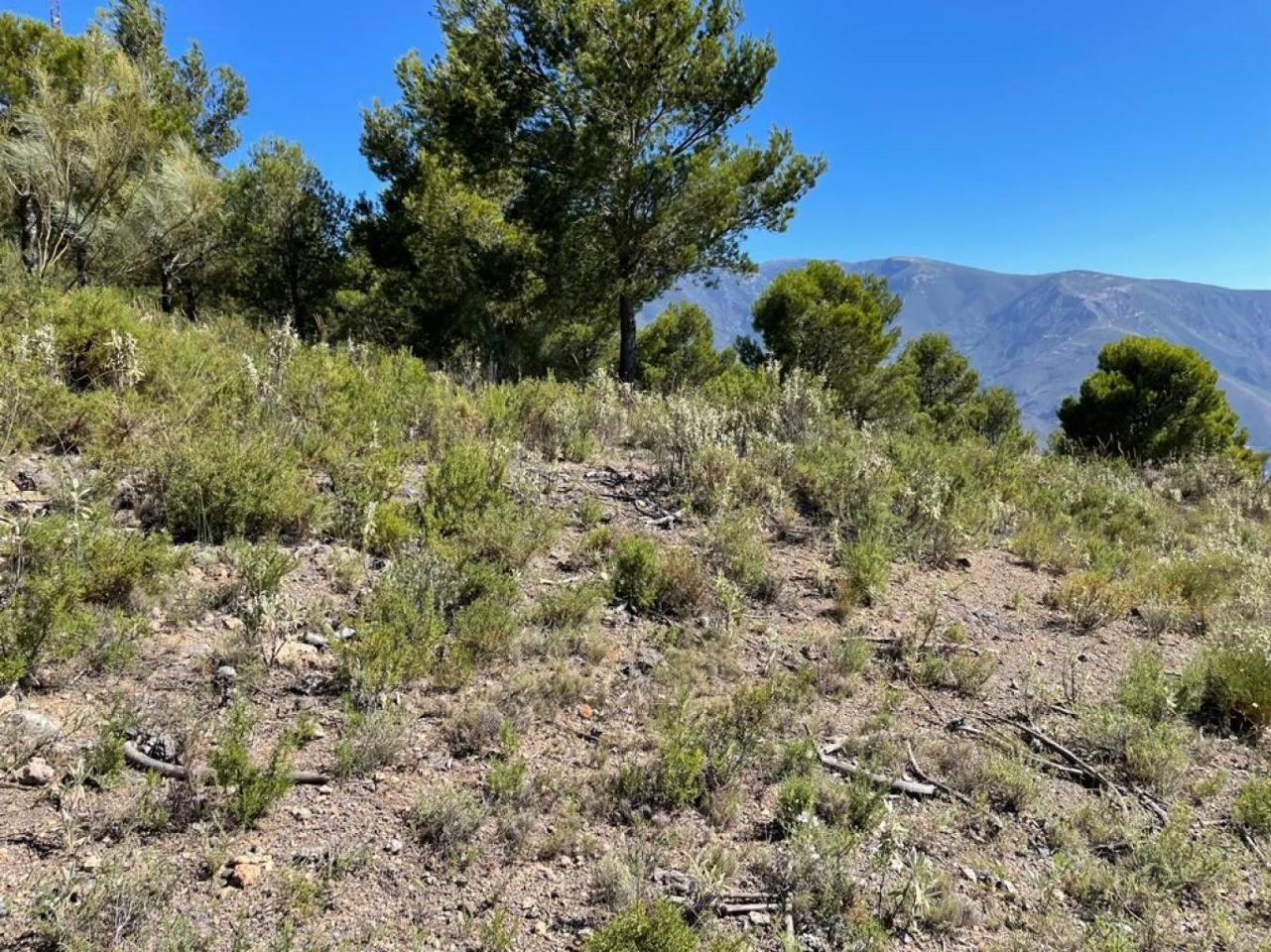 Terreno en venta en Jaén