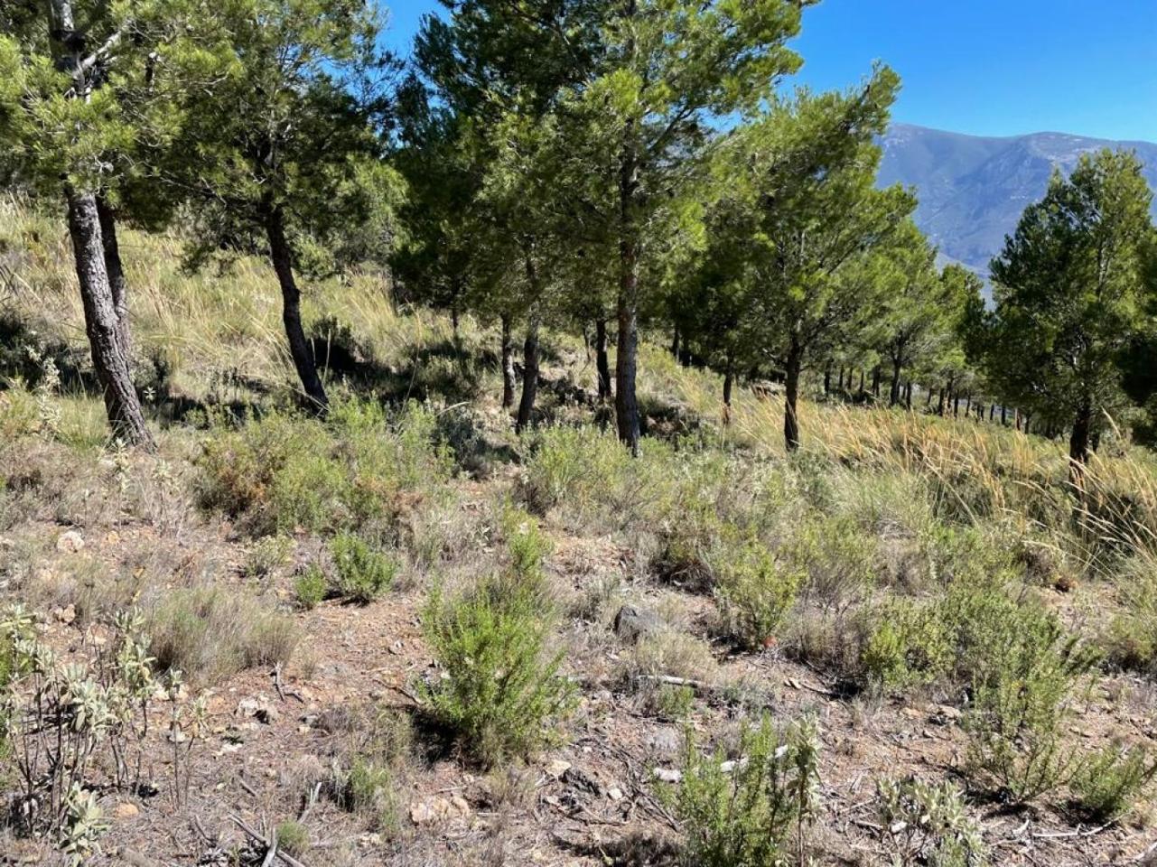 Terreno en venta en Jaén