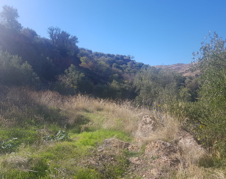 Terreno en venta en Jaén