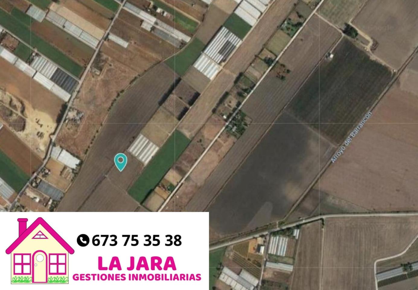 Terreno en venta en Cádiz