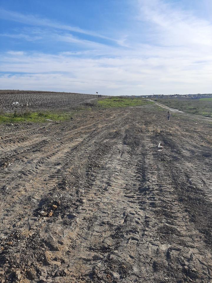 Terreno en venta en Cádiz