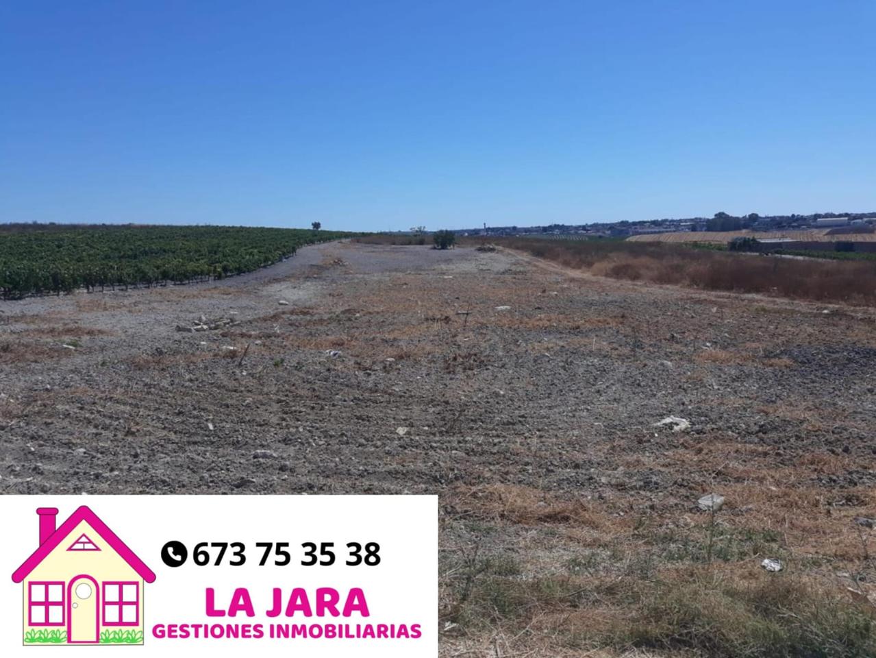 Terreno en venta en Cádiz